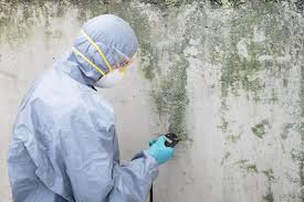 Mold Remediation for Vacation Homes in Youngsville, NC